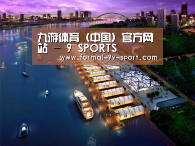 案例展示八
