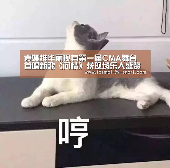 袁娅维华丽现身第一届CMA舞台 首唱新歌《问情》获现场乐人盛赞‘九游体育’(图1) 九游体育