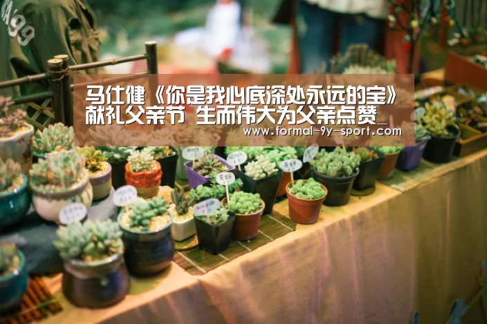 马仕健《你是我心底深处永远的宝》献礼父亲节 生而伟大为父亲点赞_九游体育(图1) 九游体育