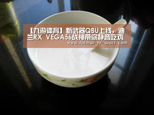 【九游体育】新武器QBU上线,迪兰RX VEGA56战神带你静音吃鸡(图3) 九游体育